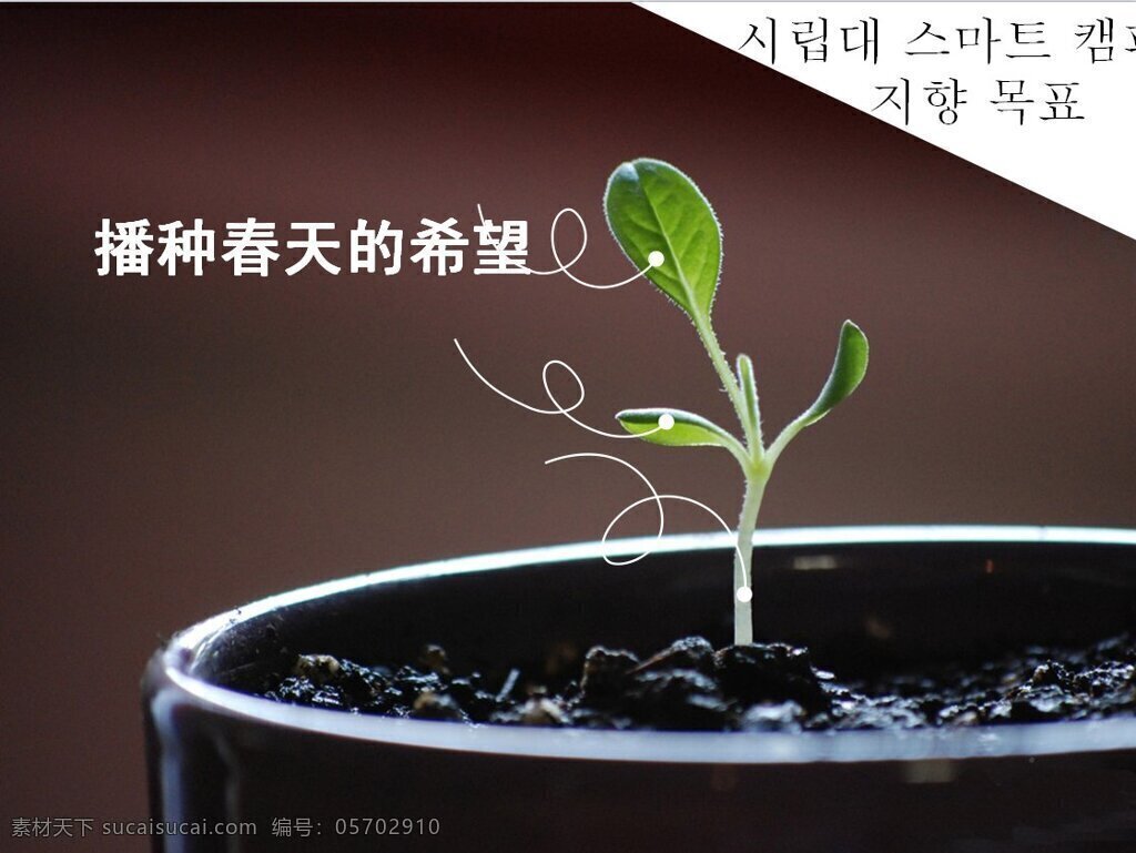 新 年度 工作計(jì)劃 模板 商務(wù)