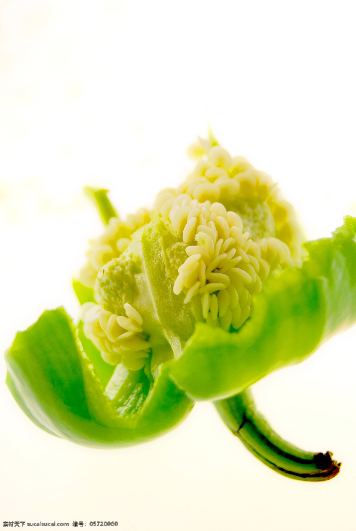 青椒免费下载 高清晰 青椒 生物世界 蔬菜 新鲜 蔬菜写真 青椒籽 绿色食物 风景 生活 旅游餐饮