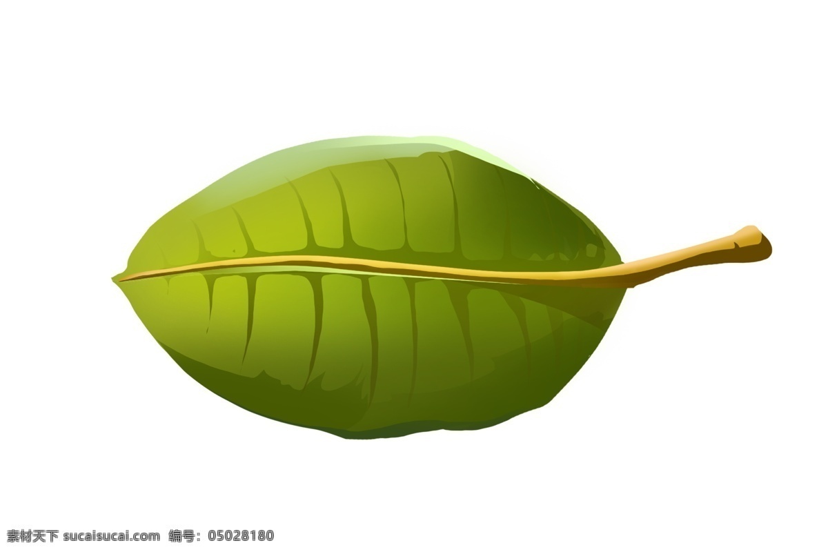 片 綠色 樹葉 插畫 綠葉 葉子 植物 漂亮的樹葉 一片樹葉 綠色樹葉 樹葉子插畫 綠色葉子