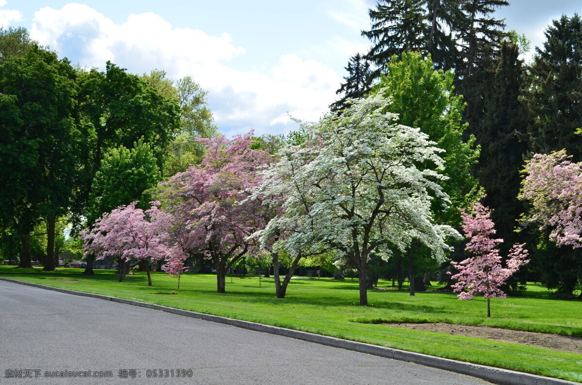 繁花盛開(kāi)風(fēng)景 一路繁花 繁花盛開(kāi) 花團(tuán)錦簇 繁花 花朵 盛開(kāi) 公園風(fēng)景 街邊風(fēng)景 馬路風(fēng)景 春天風(fēng)景 戶外風(fēng)景 風(fēng)景 風(fēng)光 自然 大自然 自然風(fēng)光 自然風(fēng)景 景色 唯美 景物 自然景色 自然景觀