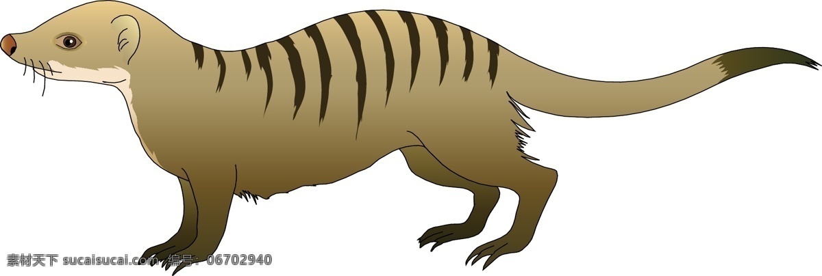 動物 ai素材 動物素材 生物 生物素材 矢量素材 矢量圖 野生動物 其他矢量圖