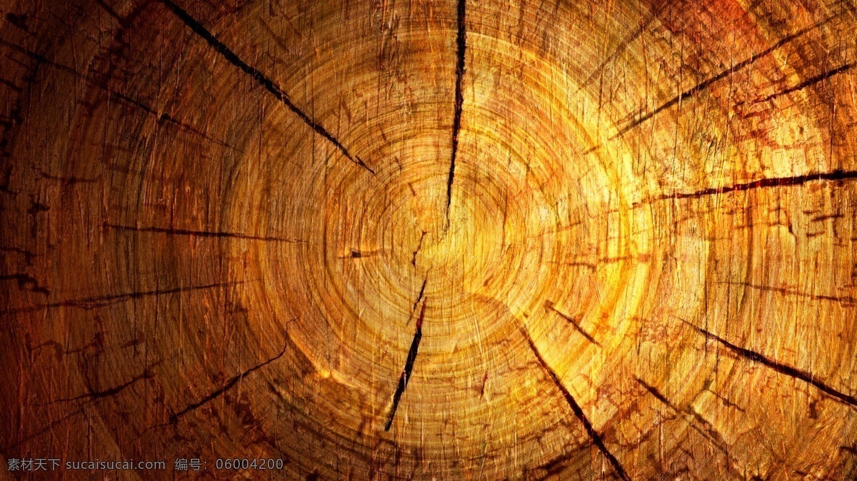 高清樹年輪圖 高清 樹 樹干 年輪 復(fù)古 年代 老 舊 希望 黑暗 陽光 光 照耀 年齡 年老 老年 圖 分層 風(fēng)景