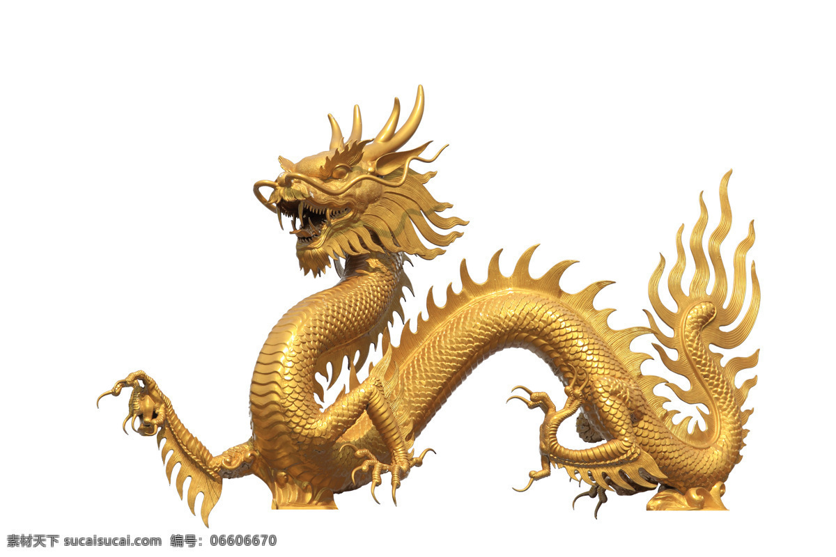 金龙 龙 中国龙 龙年 2012 春节 真龙 新年 龙年大吉 金龙献瑞 龙珠 新年喜庆 贺年素材 节日素材 海报 龙年吉祥 新春 中国风 龙年广告 龙年素材 金碧辉煌 传统文化 文化艺术