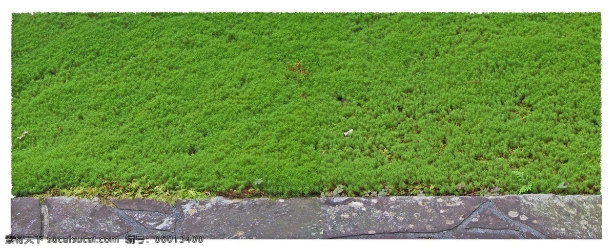 苔蘚草皮 竹籬笆 石燈籠 庭石頭 園林 園藝 草叢 草堆 灌木 灌木叢 灌木林 花叢 花束 石頭
