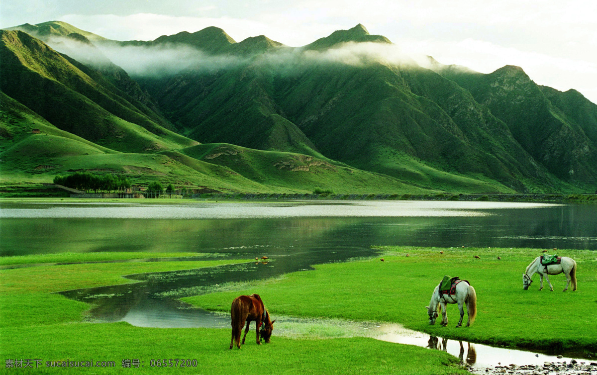風(fēng)景免費(fèi)下載 草原 風(fēng)景 高山 湖水 駿馬 馬 大霧 水 生活 旅游餐飲