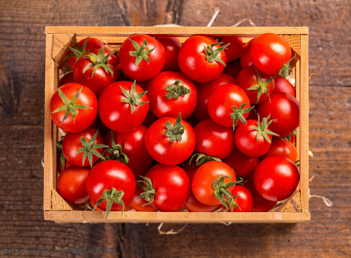 小番茄 番茄 西红柿 番茄酱 蔬菜 水果 果汁 美食 生物世界