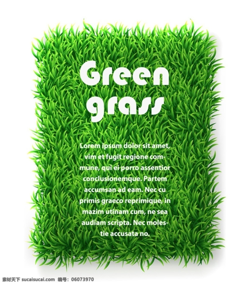 grass草 绿色 养眼 密密麻麻 草丛 草地 现代 生物世界 花草