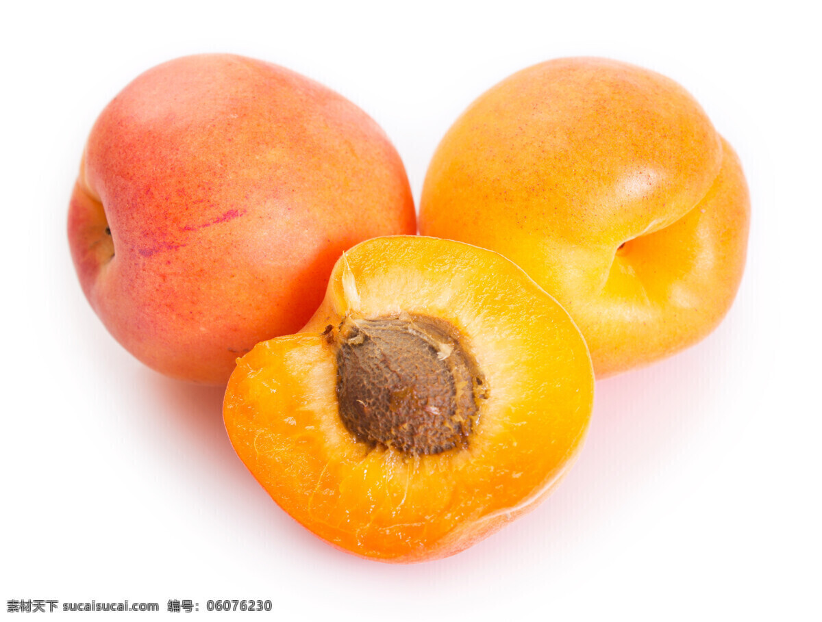 黄杏 杏子 水果杏 杏肉 梅子 杏核 水杏 杏 梅 生物世界 水果