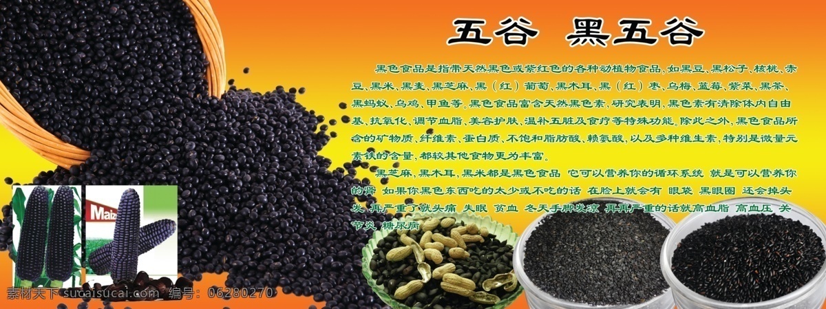 五谷 黑五谷 黑豆 黑花生 黑芝麻 黑米 黑玉米 黑色食品 五谷養(yǎng)生 五谷雜糧 五谷豐登 智能圖層 展板模板 廣告設(shè)計(jì)模板 源文件