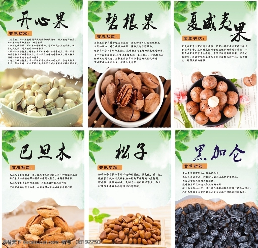開心果 碧根果 夏威夷果 巴旦木 松子 黑加侖 干果類海報 堅果 零食 名片卡片
