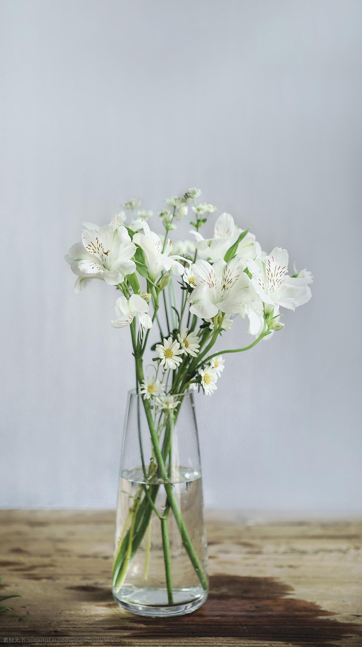 菊花 插畫 插花 小清新 壁紙 屏保 手機(jī)殼 壁畫 玄關(guān)畫 客廳畫 電視墻 花瓶 花藝 紅色花朵 花卉 藝術(shù)