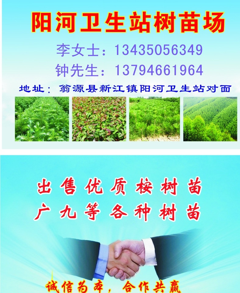 樹苗場 桉樹苗場 綠化樹 果樹 果苗樹 杉樹苗 名片卡片 矢量
