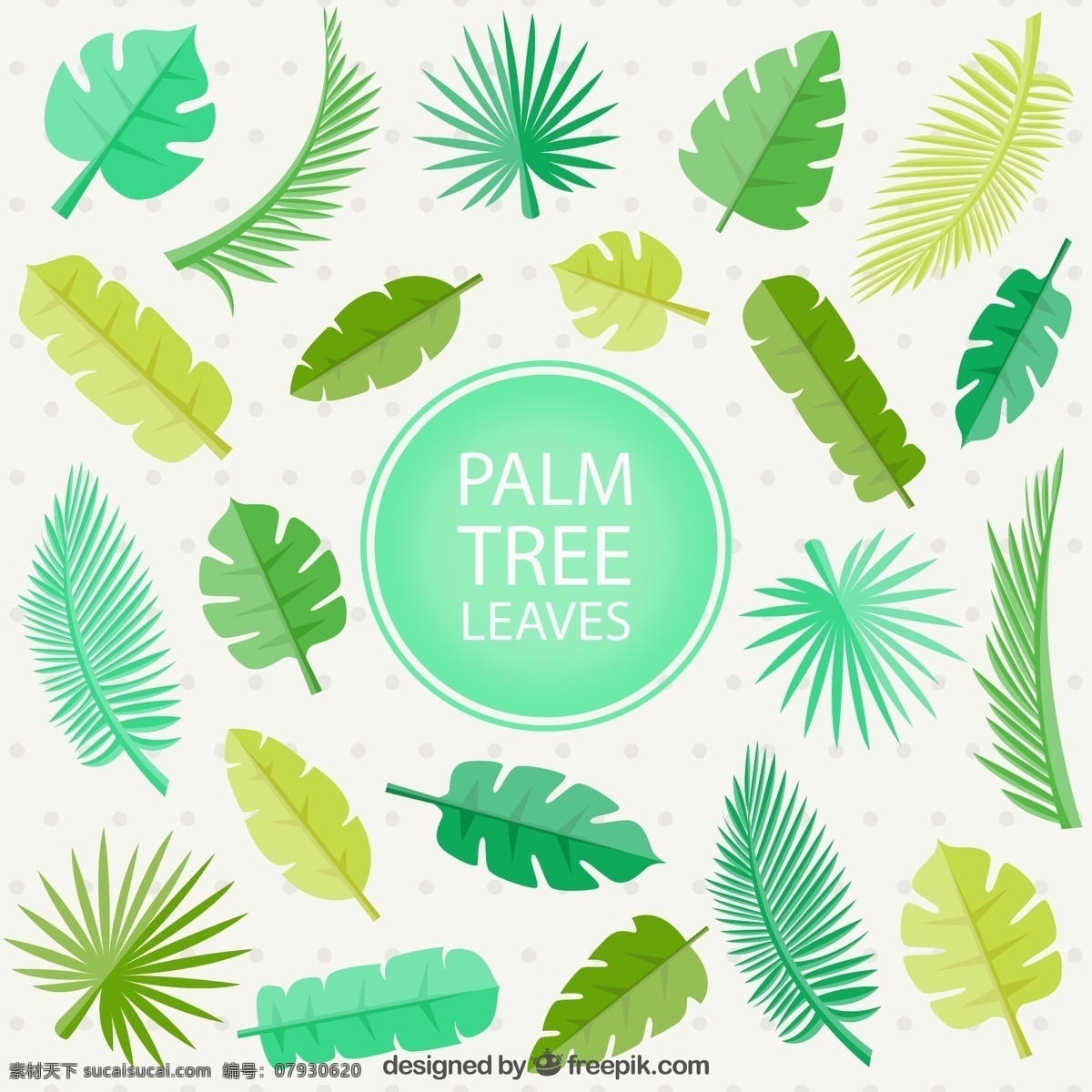 绿色 棕榈 树叶 植物 棕榈树 叶子 扁平化 矢量图 矢量 高清图片