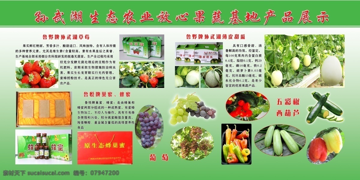 農(nóng)產(chǎn)品展板 孫武 湖 生態(tài)農(nóng)業(yè) 放心 果蔬 基地 產(chǎn)品展示 草莓 蜂蜜 葡萄 甜瓜 五彩椒 西葫蘆 蜂巢 展板模板 廣告設計模板 源文件