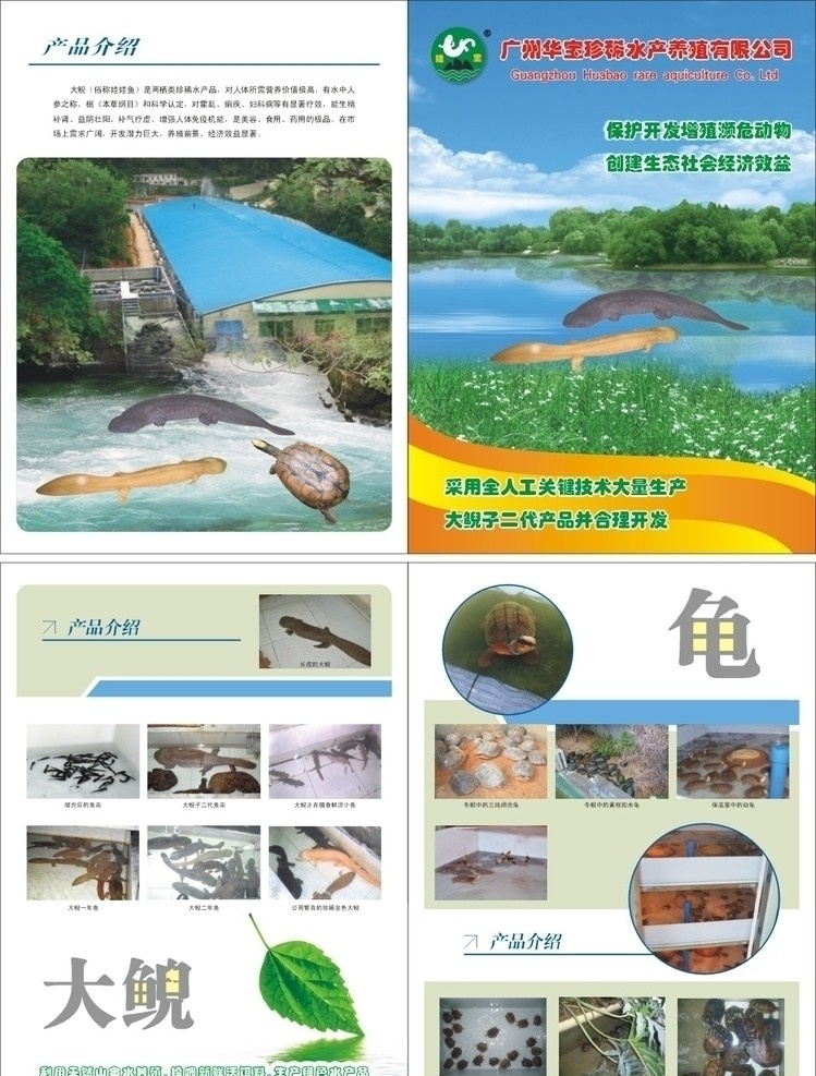 珍稀 動物 養(yǎng)殖 封面 水產 大鯢 龜 孵化介紹 畫冊設計 矢量