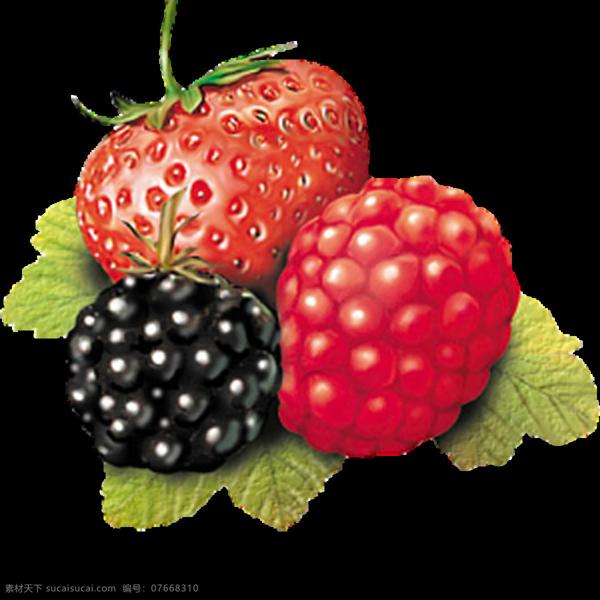 唯美 草莓 桑葚 高清 水果