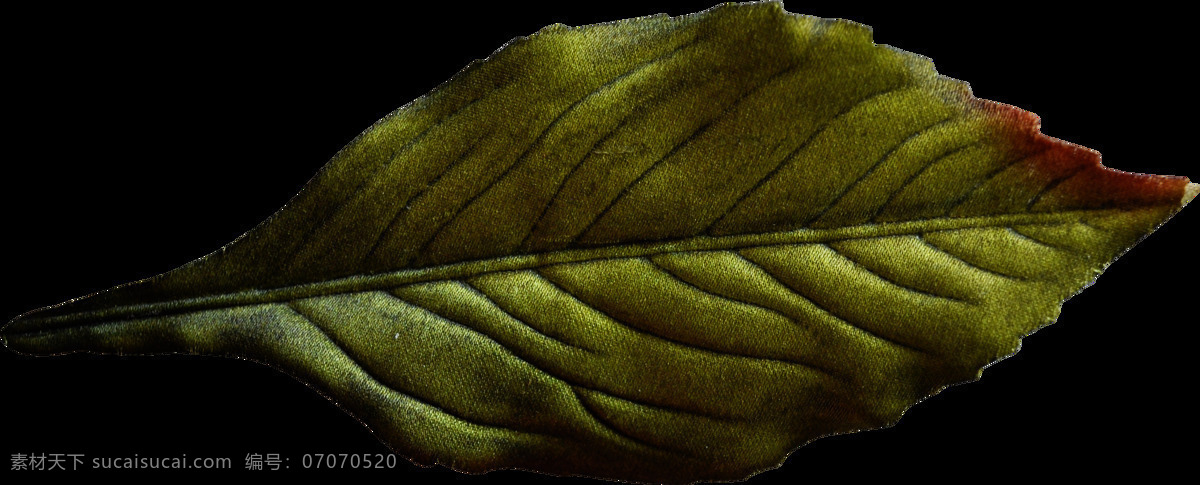 手绘 小巧 翠绿 叶子 透明 横放 娇小 免扣素材 树叶 透明素材 纹理 植物 装饰图片
