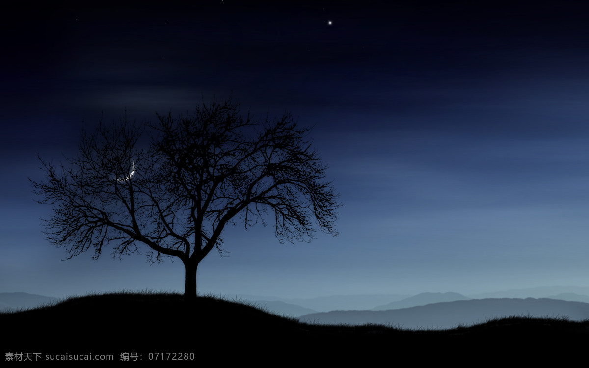大樹(shù) 背景 黑色 樹(shù)木 月亮 背景圖片