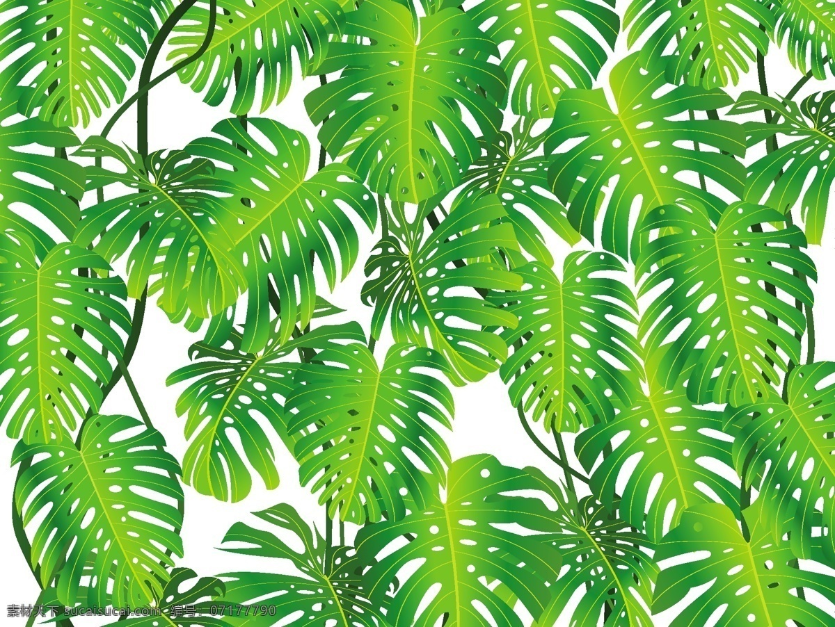 葉 綠色 主題 背景 矢量 樹枝 線 新鮮 暈 綠色的葉子