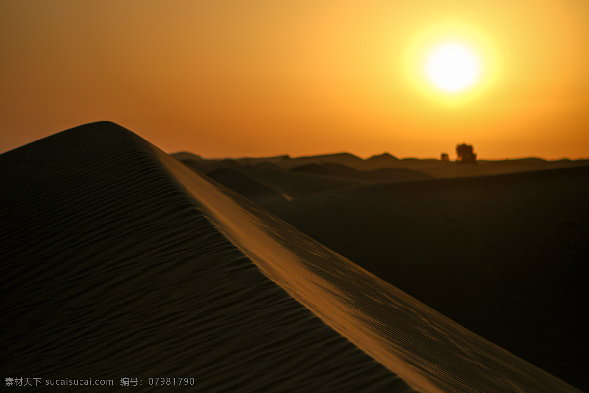 沙丘日出图片 沙丘 日出沙漠 黄沙 沙漠 迪拜沙漠 旅游摄影 国外旅游