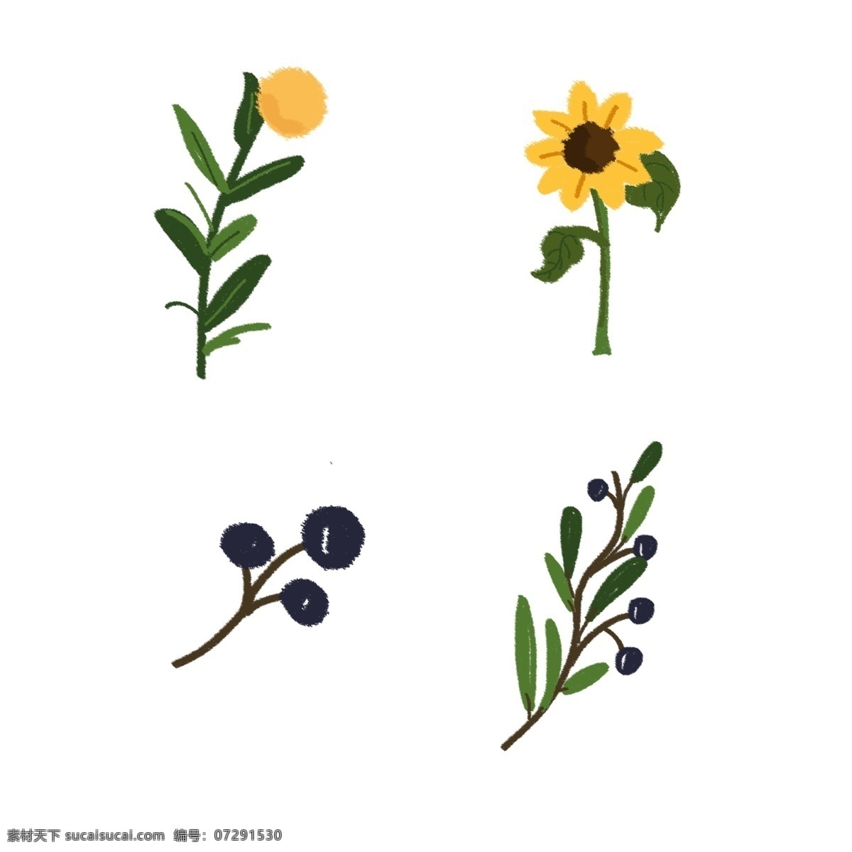 向日葵 叶子 植物 元素 向日葵蓝莓 儿童节植物 ps元素 插画