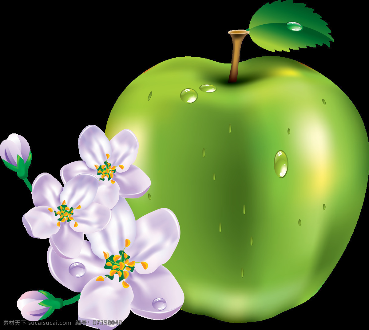 漂亮 鲜花 苹果 免 抠 透明 图 层 苹果图片 苹果照片 青苹果 logo 苹果简笔画 壁纸高清 大苹果 红苹果 苹果梨树 苹果商标 金毛苹果 青苹果榨汁