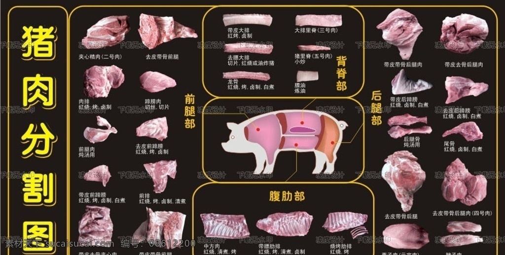 超市 猪肉 分割 图 肉科 禽肉 猪 牛 商场 生鲜 前腿 腹肋 背脊 后腿 冻品 大排 前腿肉 夹心精肉 五花肉 蹄膀 后腿肉 龙骨 大肠 猪心 肋排 排骨 矢量