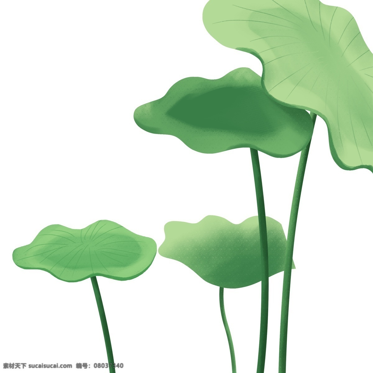 綠色植物 荷葉 圖案 植物 水彩畫(huà) 插畫(huà) 繪畫(huà) 卡通 彩色 創(chuàng)意 精致精美 繪畫(huà)手稿
