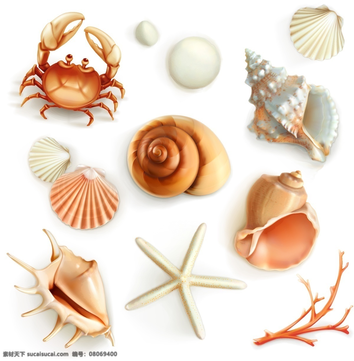 海洋生物插畫(huà) 海洋 生物 珍珠 貝殼 海螺 海星 螃蟹 珊瑚