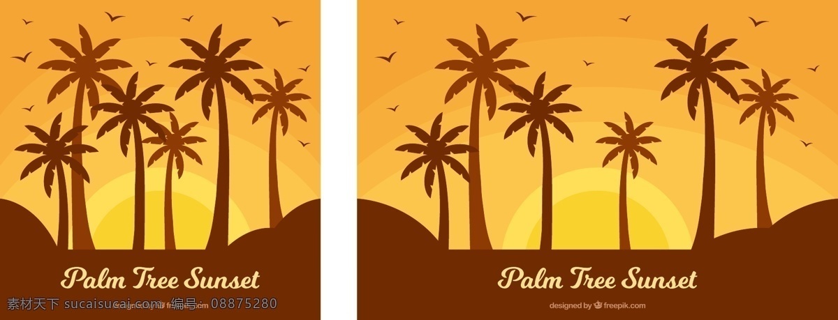 棕榈树的日落 背景 树木 夏天 树叶 自然 壁纸 热带 植物 棕榈树 环境 自然背景 棕榈 日落 棕榈叶 天堂 树干 异国情调