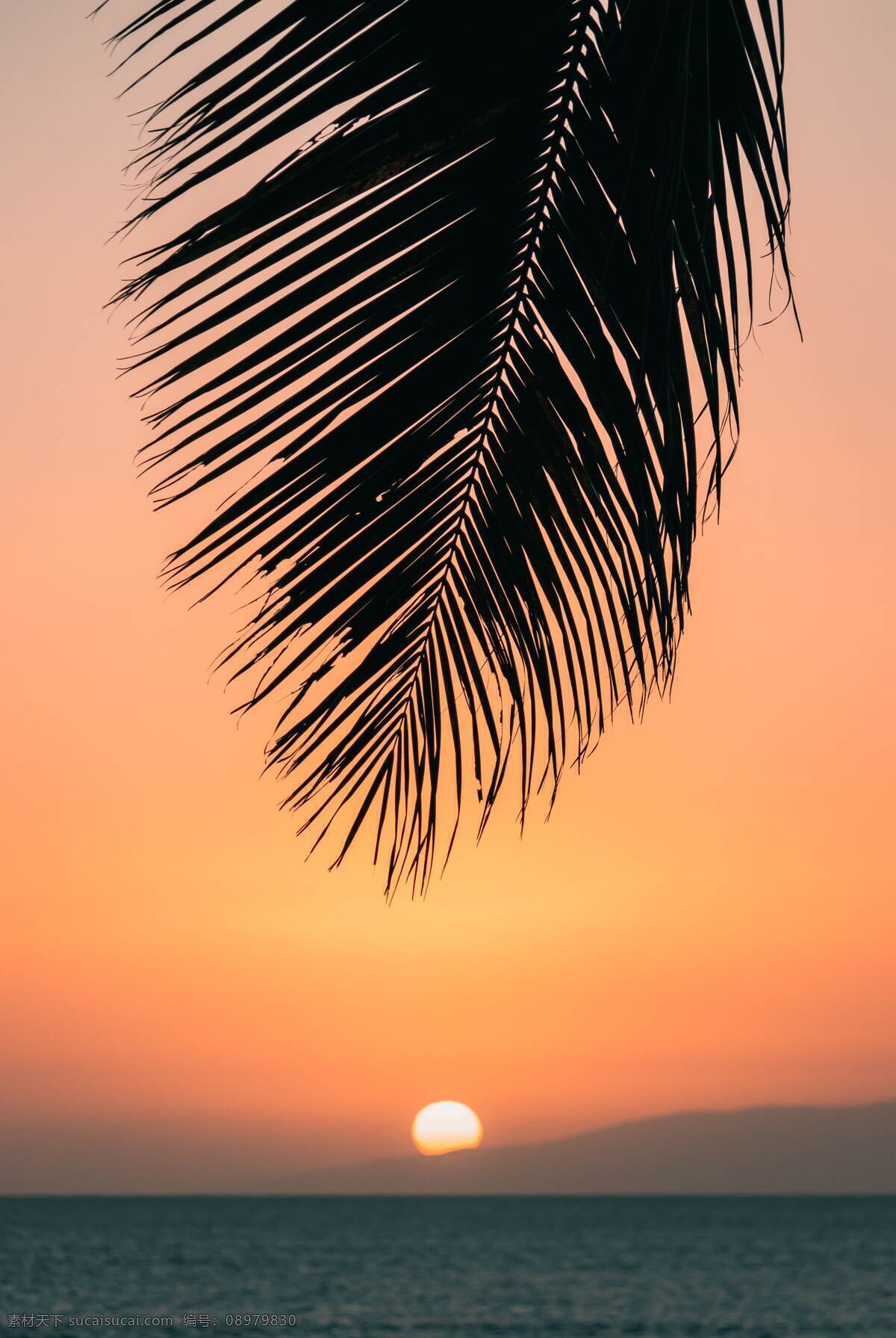 夏威夷圖片 夏威夷 夏威夷風(fēng)景 海灘 沙灘 棕櫚樹 海島 海底 海 海浪 風(fēng)景 海龜 南瓜 山 山脈 飛機(jī)艙 飛機(jī)窗 彩虹 菠蘿 雞蛋花 蜥蜴 小蜥蜴 車 汽車 國外美麗風(fēng)光