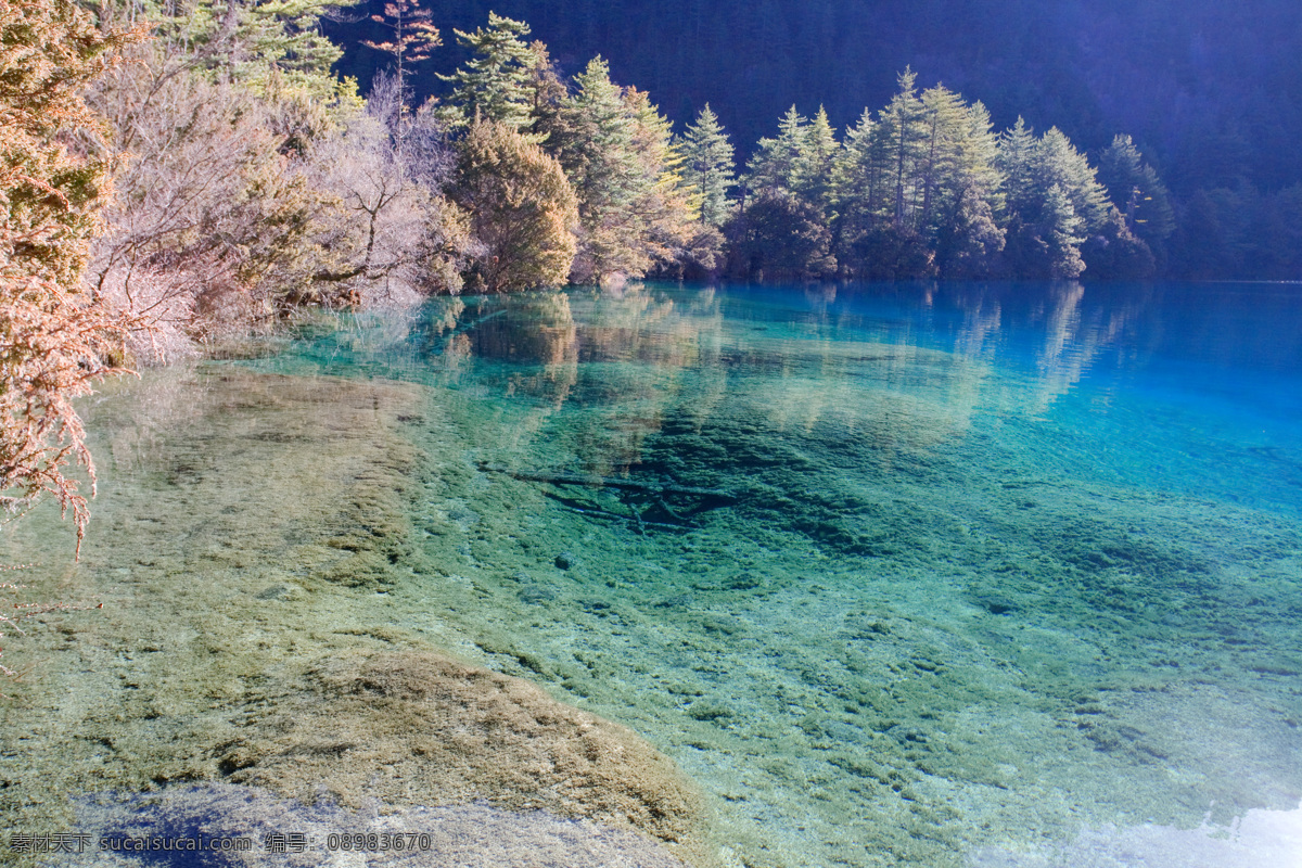 神奇的九寨 九寨溝 風(fēng)光 瀑布 水 九寨 九寨溝風(fēng)光 清澈 樹木 山水風(fēng)景 自然景觀