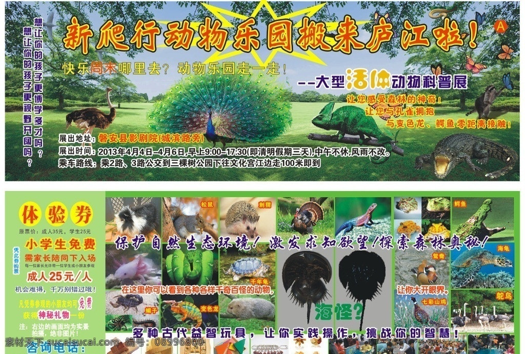 動(dòng)物樂園 快樂周末 活體 新爬行動(dòng)物 動(dòng)物科普展 保護(hù)自然 生態(tài)環(huán)境 激發(fā)求知欲望 探索森林奧秘 千年龜 海龜 鴛鴦 鴕鳥 鱷魚 孔雀 蝴蝶 蜥蜴 刺猬 娃娃魚 蝎子 變色龍 海怪 七彩山雞 文化宮 文化館 廬江 門票 優(yōu)惠劵 設(shè)計(jì)稿 矢量