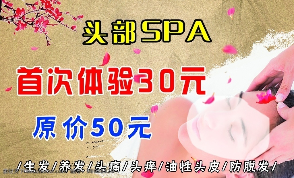 頭部 spa 美發(fā)服務(wù)項(xiàng)目 美發(fā)美女 秀發(fā) 健康洗發(fā) 頭皮排毒 香薰 肩頸護(hù)理 去屑止癢 美發(fā)海報 分層 源文件