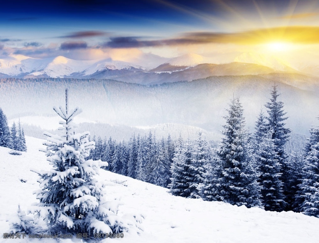 长白山 冰雪 风光 冰雪景色 山林 冬季景色 冬季 自然景观 自然风景