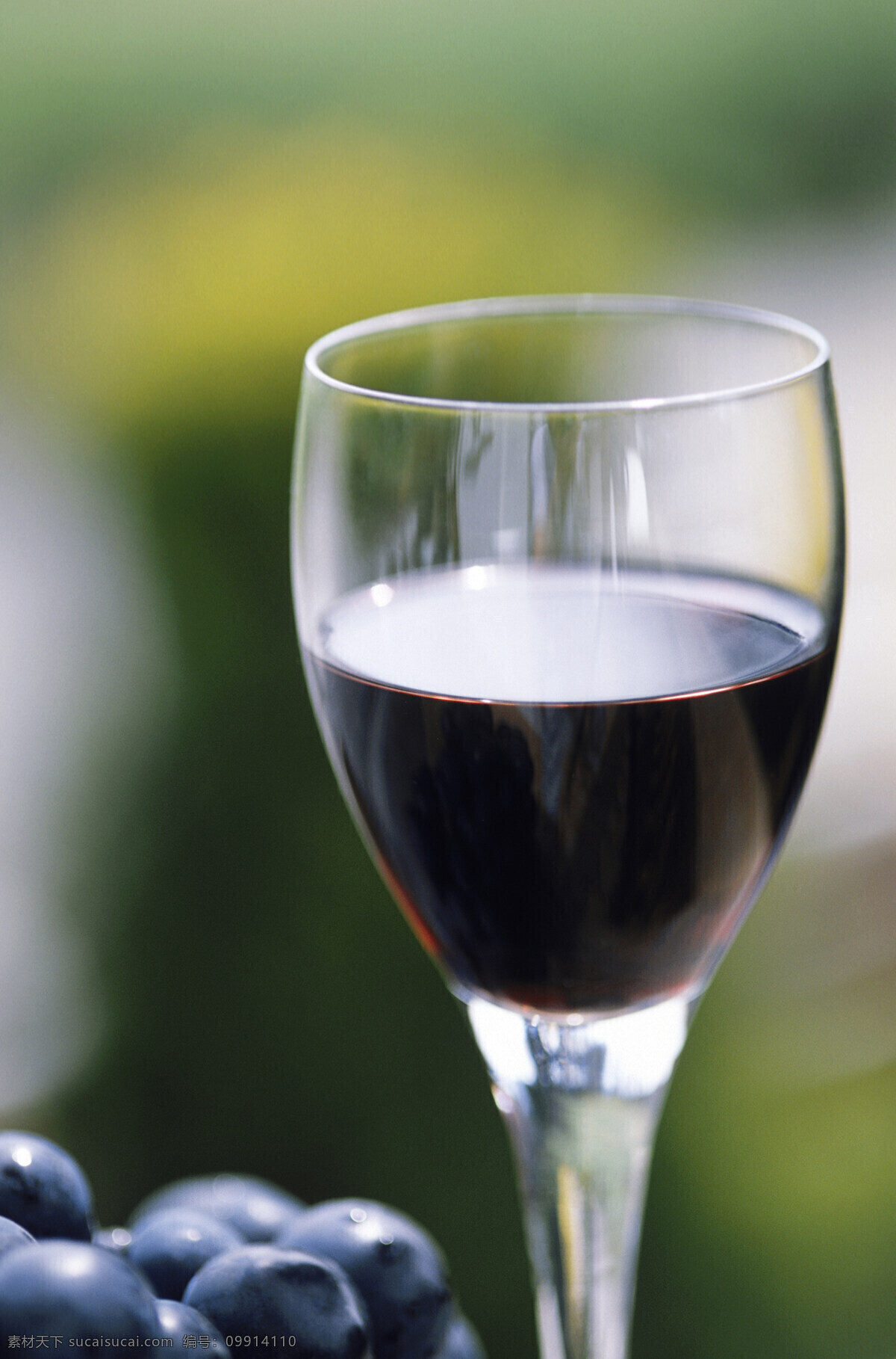 葡萄酒 酒水 飲料 酒 紅酒 黑色