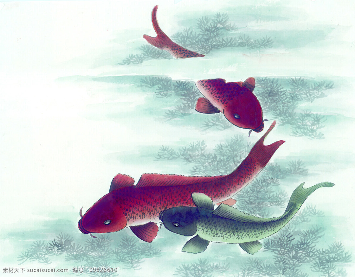 生物 魚類 動物 繪畫 古圖