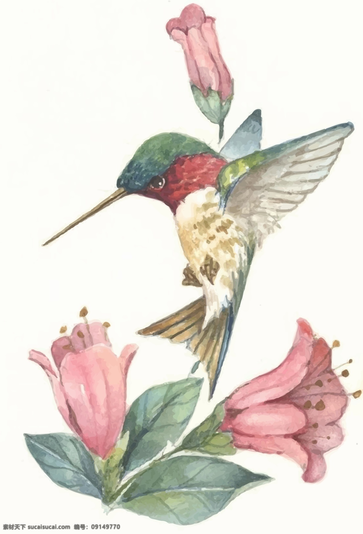 手繪 花鳥 矢量 圖案 手繪花鳥 花鳥素材 花鳥元素 蜂鳥素材 手繪鳥 手繪花 復(fù)古花鳥 復(fù)古花鳥素材 設(shè)計小素材 文化藝術(shù) 繪畫書法