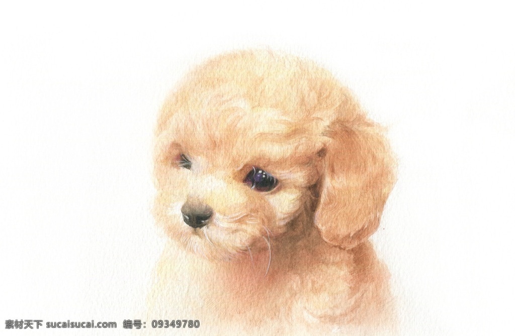 彩鉛小狗 彩鉛 萌寵 狗 畫畫 素描 文化藝術(shù) 繪畫書法