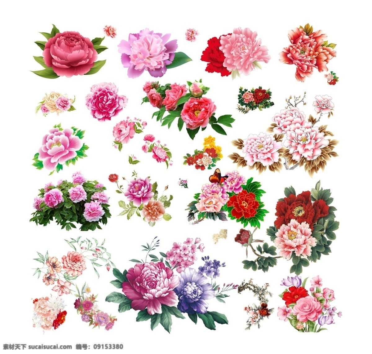 牡丹花圖片 牡丹花 牡丹 金色牡丹花 金色牡丹 牡丹素材 牡丹花素材