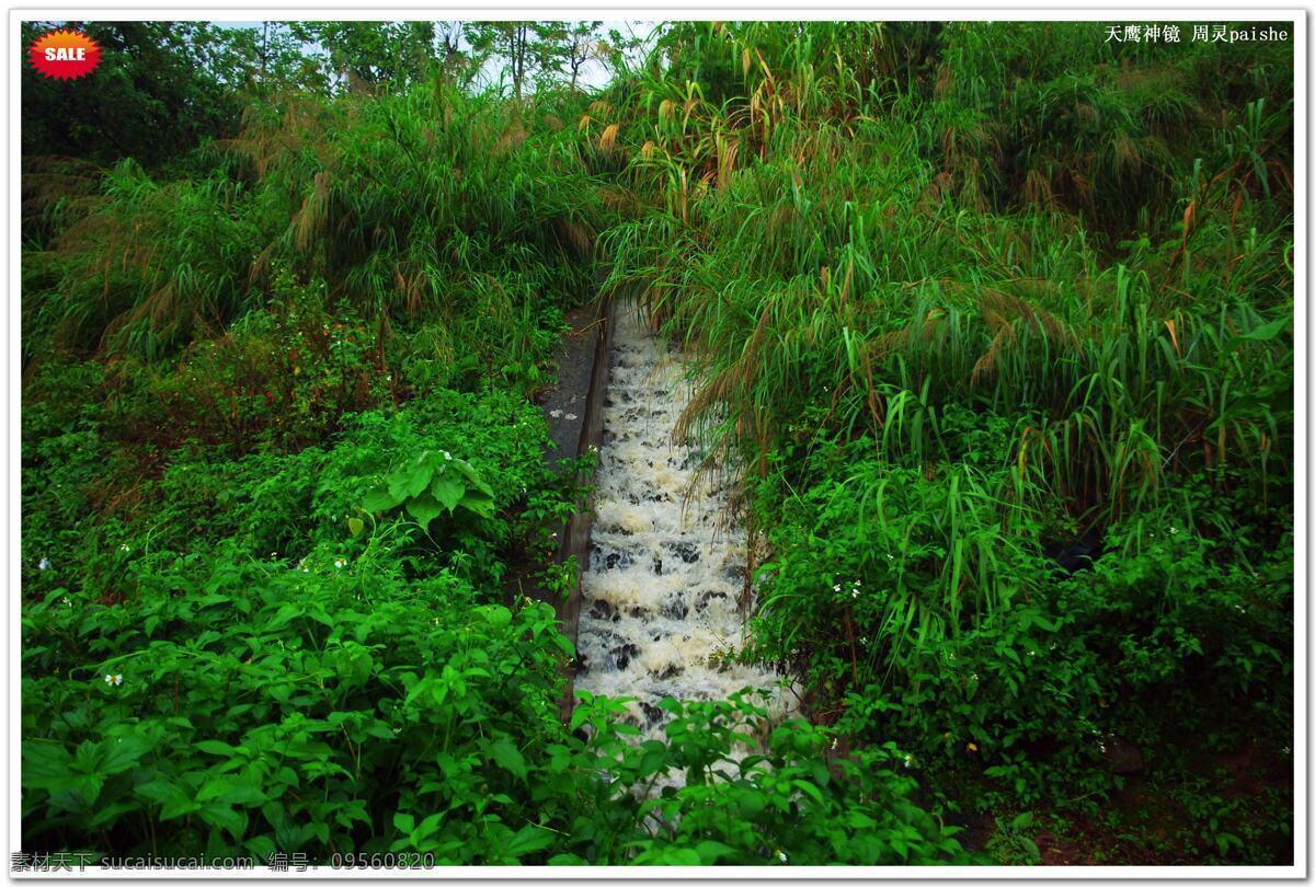 瞬間 洪水 景觀 高山流水 暴雨景觀 排洪溝 排洪階梯 山水風(fēng)景 自然風(fēng)光 暴雨洪水 洪水奔流 草木 蘆葦 天空 自然景觀