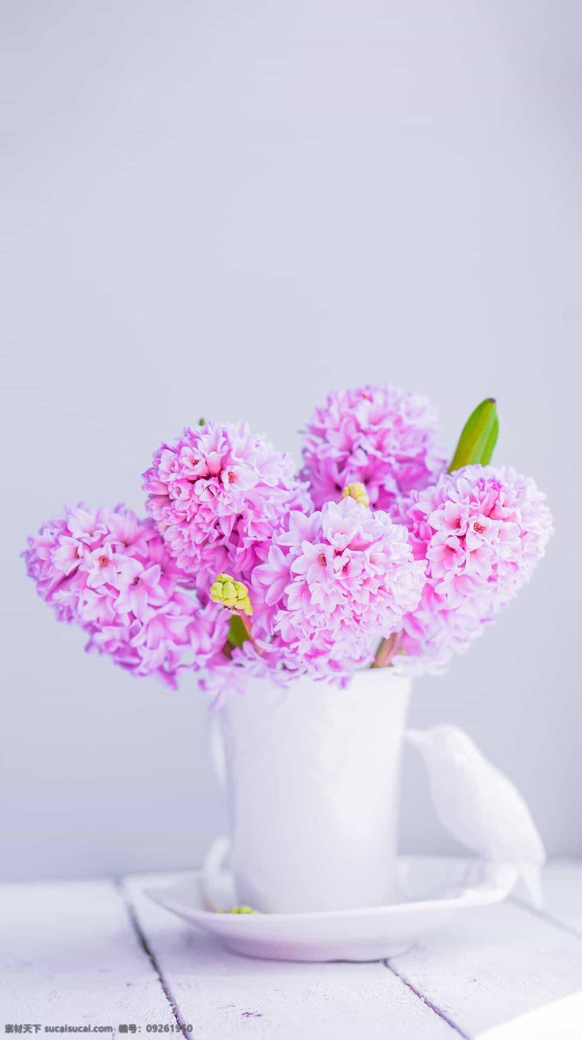 插花圖片 植物 花 花田 鮮花 綠葉 葉子 花瓶 插花 紅色 紫色 粉色 粉嫩 清新 綠色 生機 裝飾
