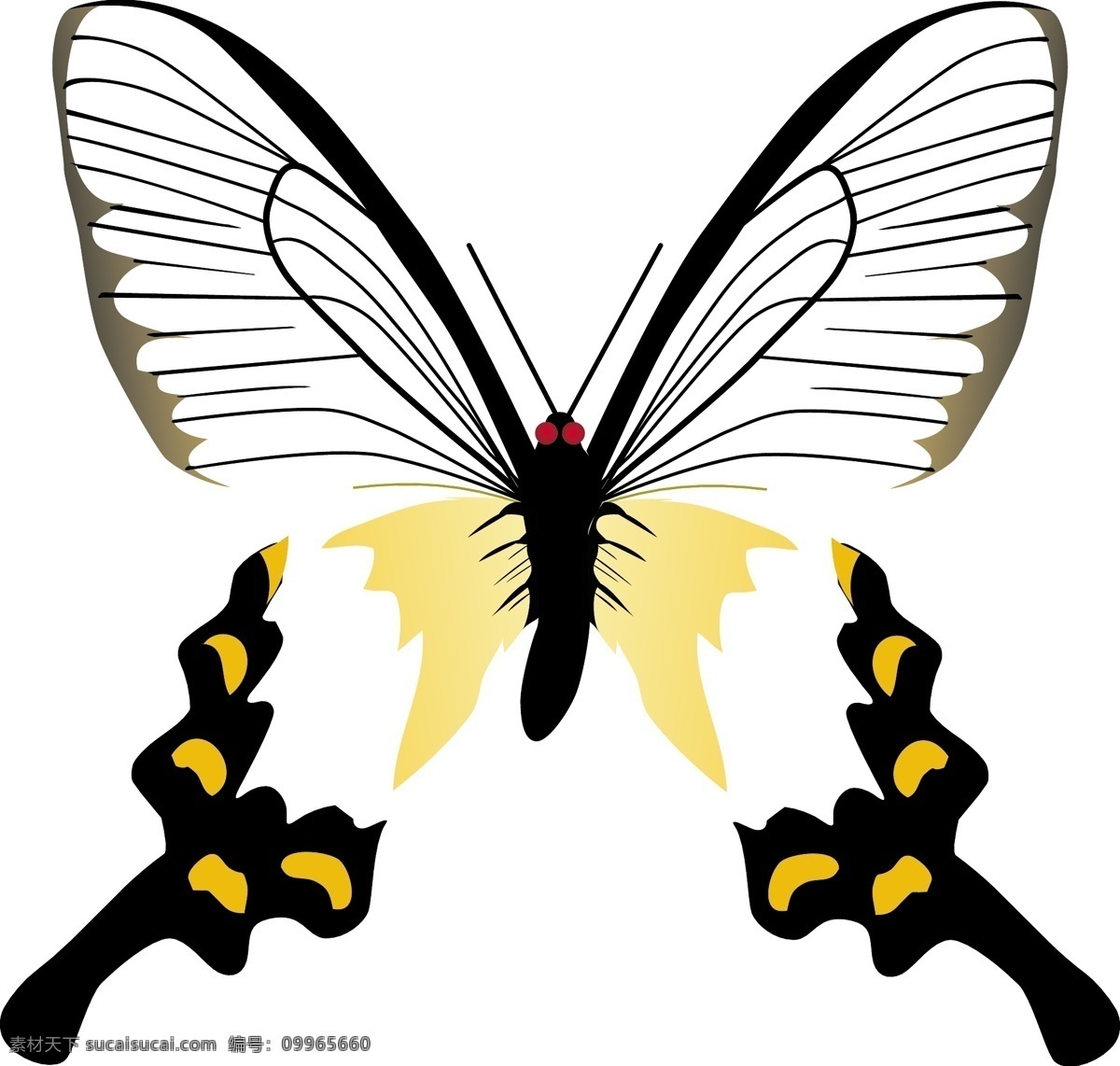 蝴蝶 昆虫 缤纷彩蝶 矢量动物 卡通动物 格式 ai格式 设计素材 昆虫世界 矢量图库 白色