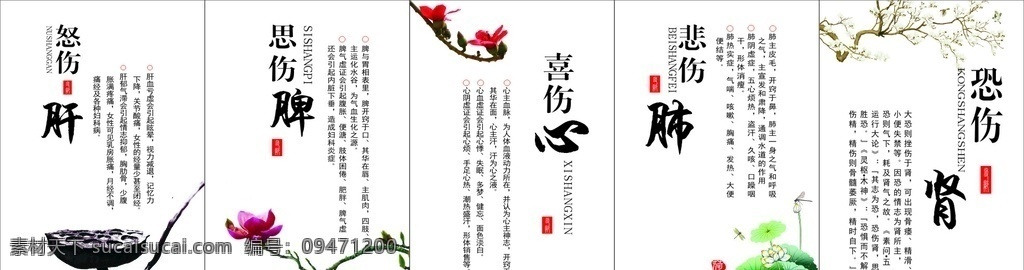 四季養(yǎng)生 養(yǎng)生之道 心 肝 脾 肺 養(yǎng)生