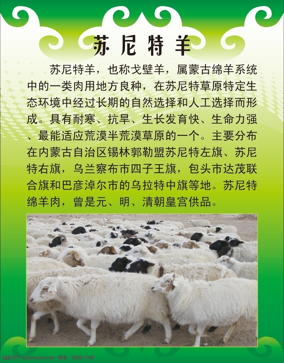 廣告設(shè)計(jì)模板 羊群 羊肉 源文件 蘇 尼特 羊 海報(bào) 模板下載 蘇尼特羊海報(bào) 蘇尼特羊 內(nèi)蒙古羊 羊源產(chǎn)地 其他海報(bào)設(shè)計(jì)