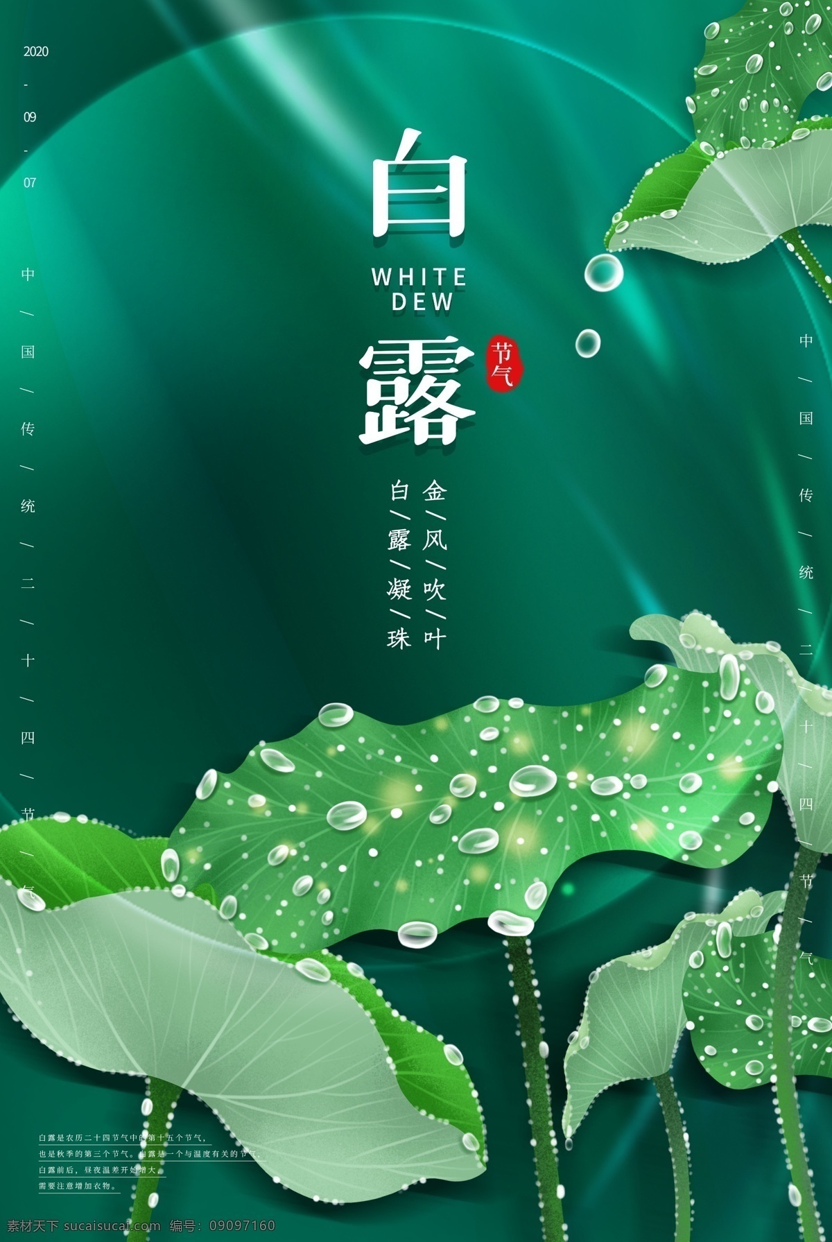 白露 传统节日 活动 宣传海报 传统 节日 宣传 海报 传统节日海报