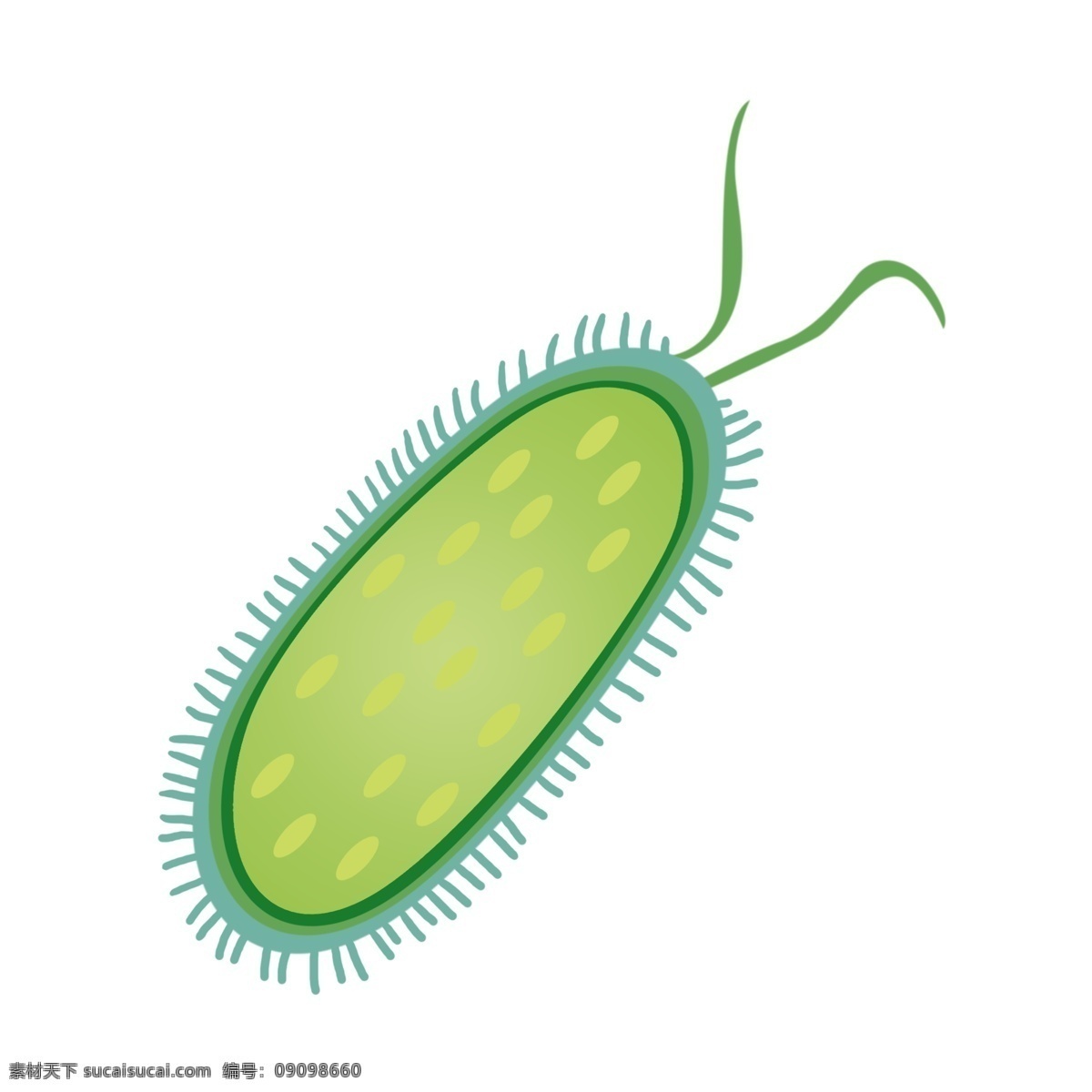 长毛 有害 细菌 插画 长毛的细菌 卡通插画 有害细菌 细菌插画 病菌插画 病菌细菌 绿色的细菌