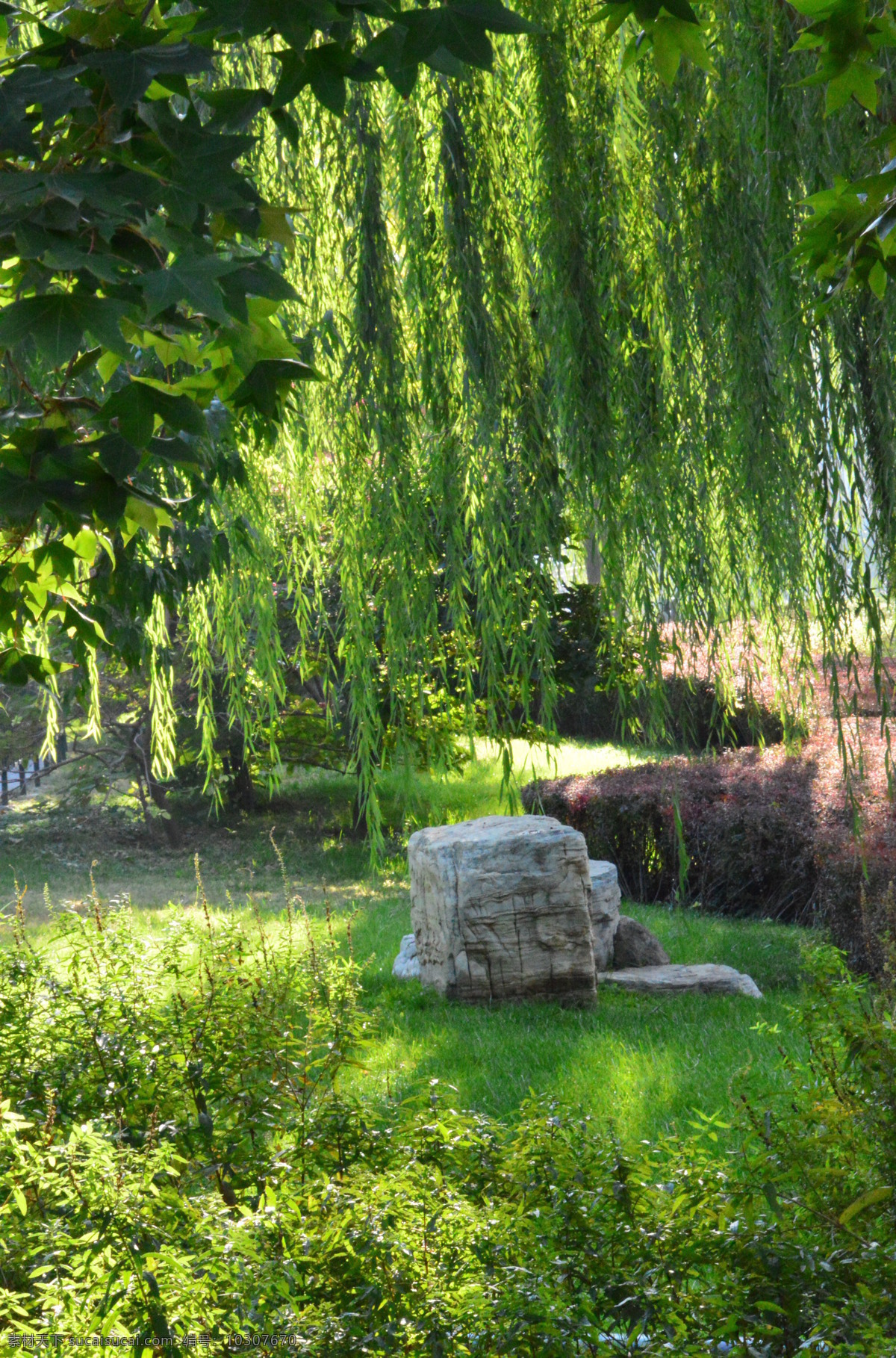 園林風(fēng)景圖片 園林風(fēng)景 陶然亭風(fēng)景 湖水 湖畔 垂柳 柳條 花草 都市風(fēng)景 都市風(fēng)貌 植物 園林景觀 建筑園林 園林建筑