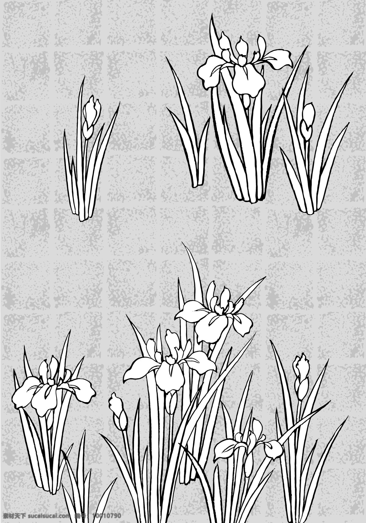 日本 线描 植物 花卉 矢量 系列 包括 蒲公英 松树 雪 南天 百合花 各种 背景 其他矢量 矢量素材 矢量图库