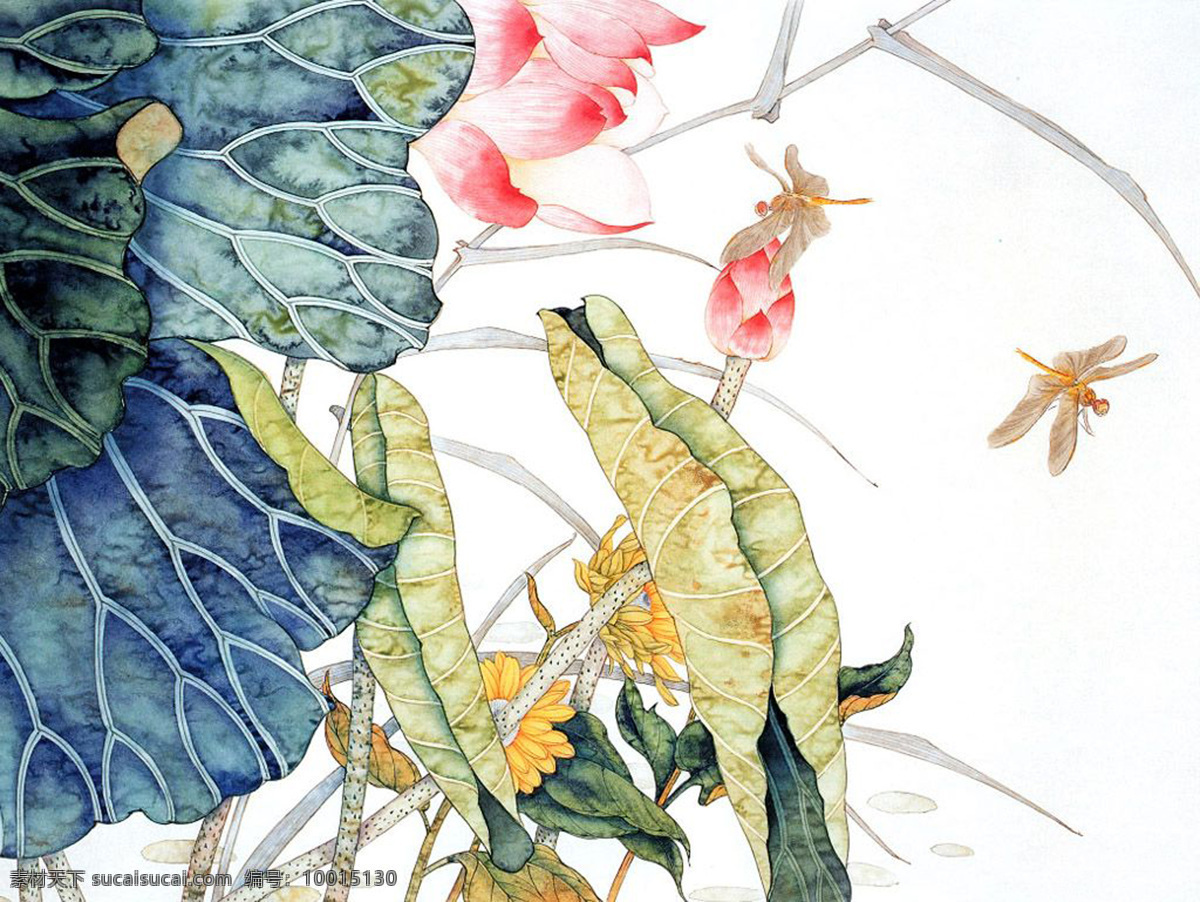 荷塘蜻蜓 荷塘 荷叶 蜻蜓 设计素材 昆虫画篇 中国画篇 书画美术 白色